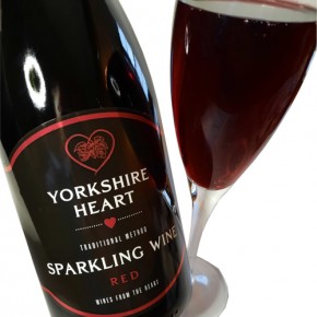 Sparkling Red Wine